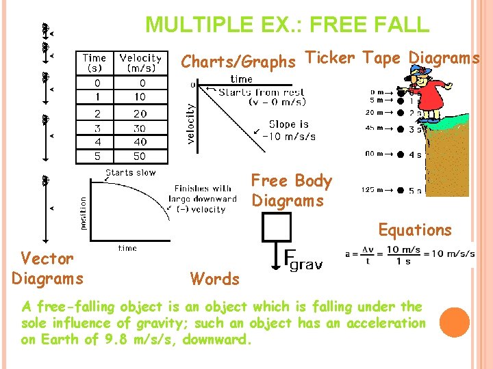 MULTIPLE EX. : FREE FALL Charts/Graphs Ticker Tape Diagrams Free Body Diagrams Equations Vector