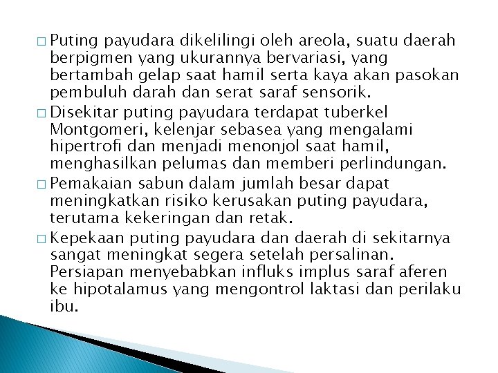 � Puting payudara dikelilingi oleh areola, suatu daerah berpigmen yang ukurannya bervariasi, yang bertambah