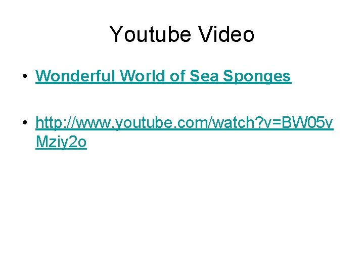 Youtube Video • Wonderful World of Sea Sponges • http: //www. youtube. com/watch? v=BW