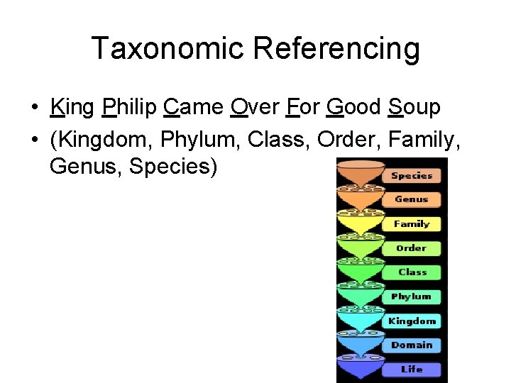 Taxonomic Referencing • King Philip Came Over For Good Soup • (Kingdom, Phylum, Class,