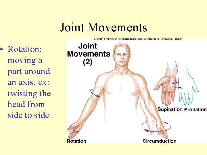  • Rotation: moving a part around an axis, ex: twisting the head from