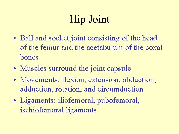 Hip Joint • Ball and socket joint consisting of the head of the femur
