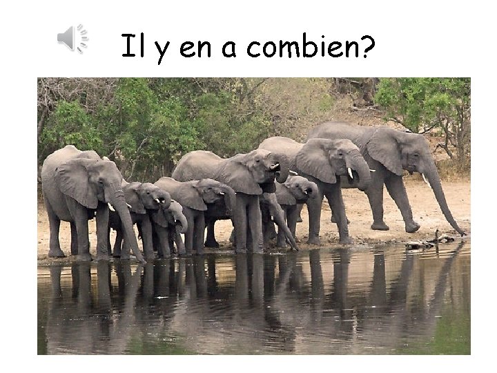 Il y en a combien? 