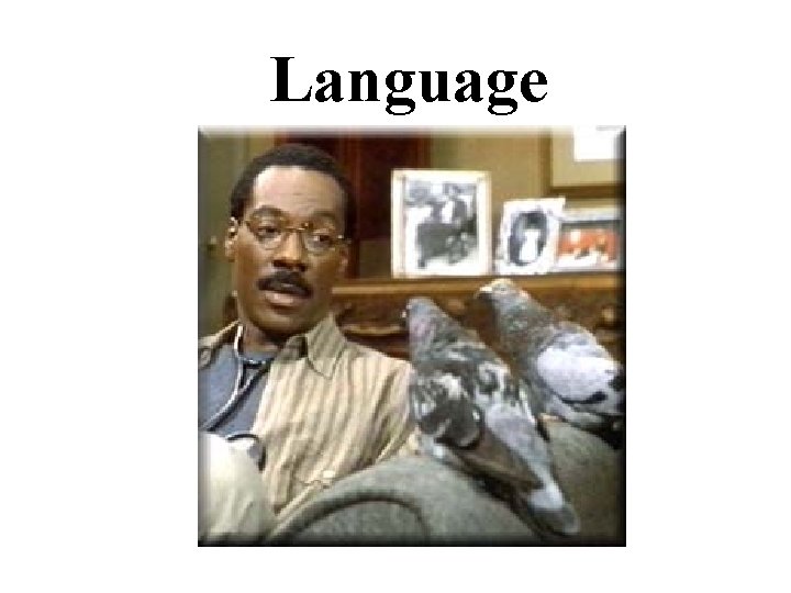 Language 