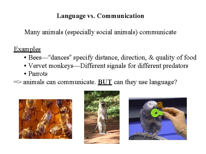 Language vs. Communication Many animals (especially social animals) communicate Examples • Bees—“dances” specify distance,