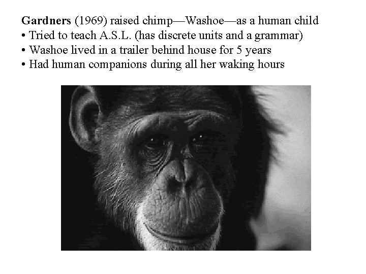 Gardners (1969) raised chimp—Washoe—as a human child • Tried to teach A. S. L.