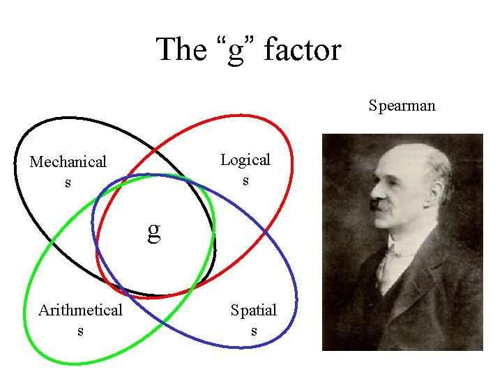 The “g” factor Spearman Logical s Mechanical s g Arithmetical s Spatial s 