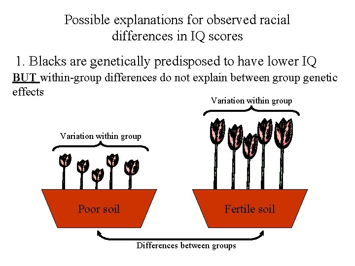 Possible explanations for observed racial differences in IQ scores 1. Blacks are genetically predisposed