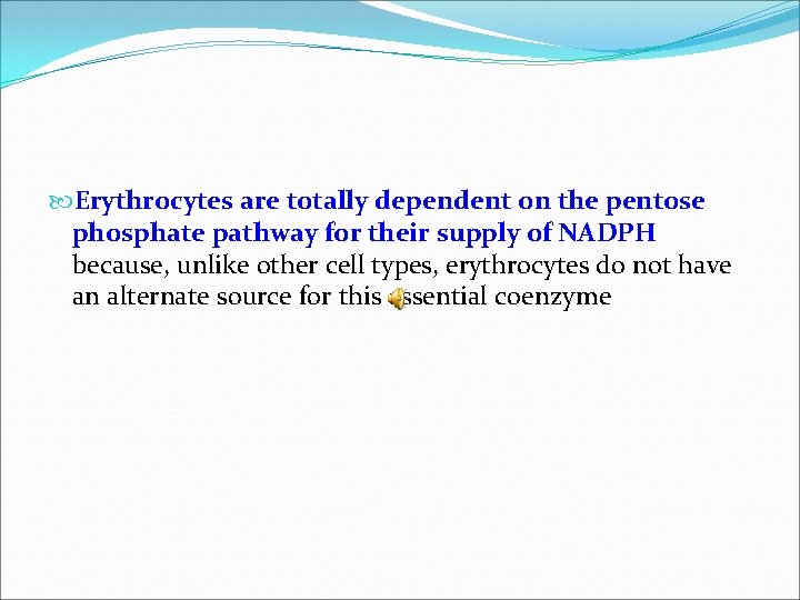  Erythrocytes are totally dependent on the pentose phosphate pathway for their supply of