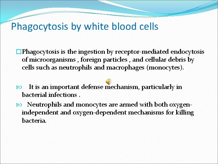 Phagocytosis by white blood cells �Phagocytosis is the ingestion by receptor-mediated endocytosis of microorganisms