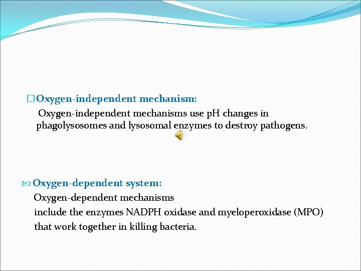 � Oxygen-independent mechanism: Oxygen-independent mechanisms use p. H changes in phagolysosomes and lysosomal enzymes