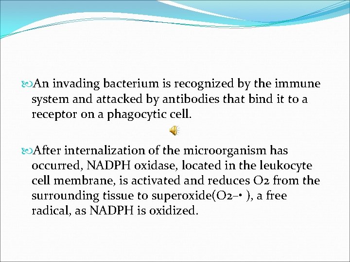  An invading bacterium is recognized by the immune system and attacked by antibodies