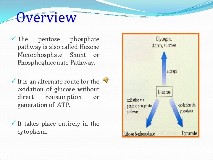 Overview ü The pentose phosphate pathway is also called Hexose Monophosphate Shunt or Phosphogluconate