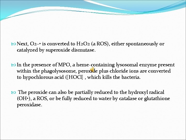  Next, O 2– • is converted to H 2 O 2 (a ROS),