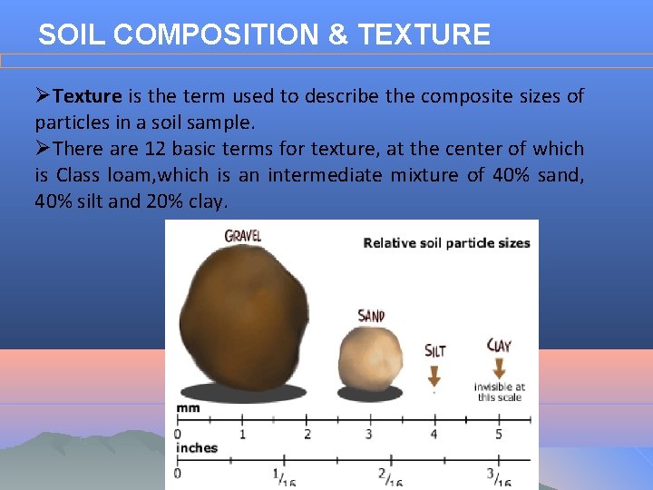 SOIL COMPOSITION & TEXTURE ØTexture is the term used to describe the composite sizes