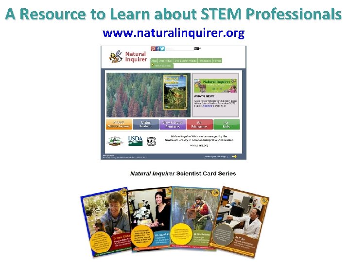A Resource to Learn about STEM Professionals www. naturalinquirer. org A Resource to Learn about STEM Professionals www. naturalinquirer. org