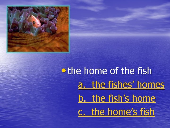  • the home of the fish a. b. c. the fishes’ homes the