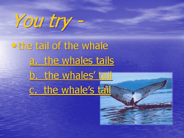 You try • the tail of the whale a. b. c. the whales tails
