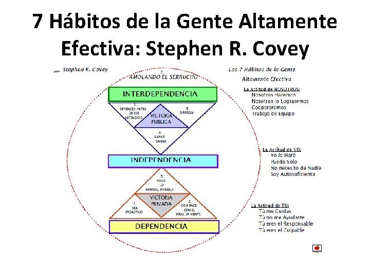 7 Hábitos de la Gente Altamente Efectiva: Stephen R. Covey 