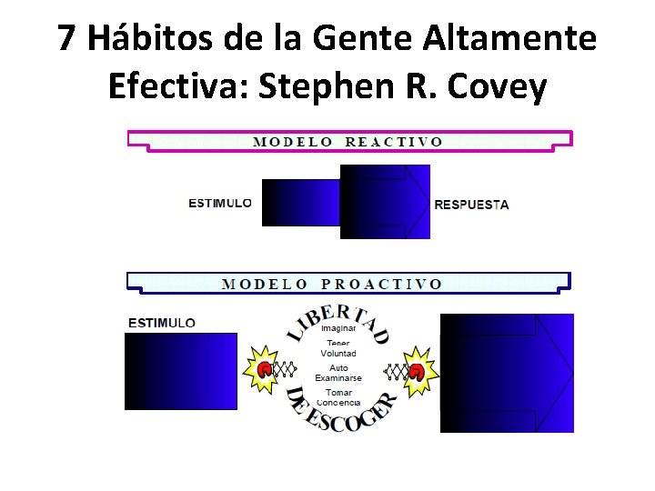 7 Hábitos de la Gente Altamente Efectiva: Stephen R. Covey 