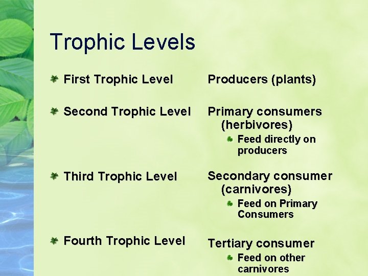 Trophic Levels First Trophic Level Producers (plants) Second Trophic Level Primary consumers (herbivores) Feed