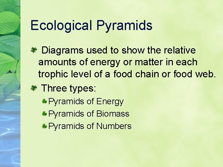 Ecological Pyramids Diagrams used to show the relative amounts of energy or matter in