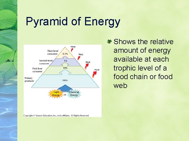 Pyramid of Energy Shows the relative amount of energy available at each trophic level