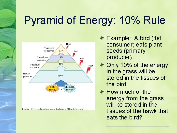 Pyramid of Energy: 10% Rule Example: A bird (1 st consumer) eats plant seeds