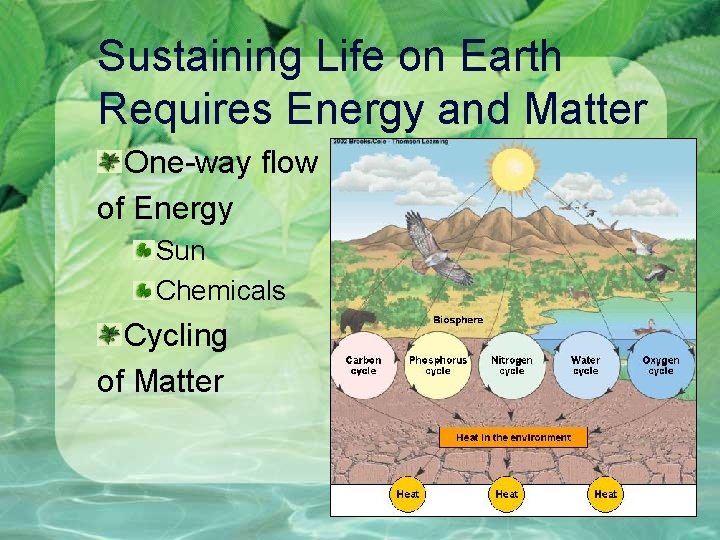 Sustaining Life on Earth Requires Energy and Matter One-way flow of Energy Sun Chemicals