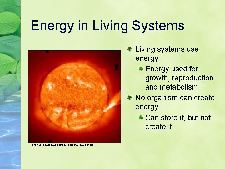 Energy in Living Systems Living systems use energy Energy used for growth, reproduction and