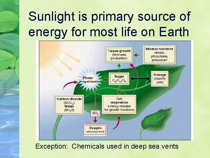 Sunlight is primary source of energy for most life on Earth Exception: Chemicals used