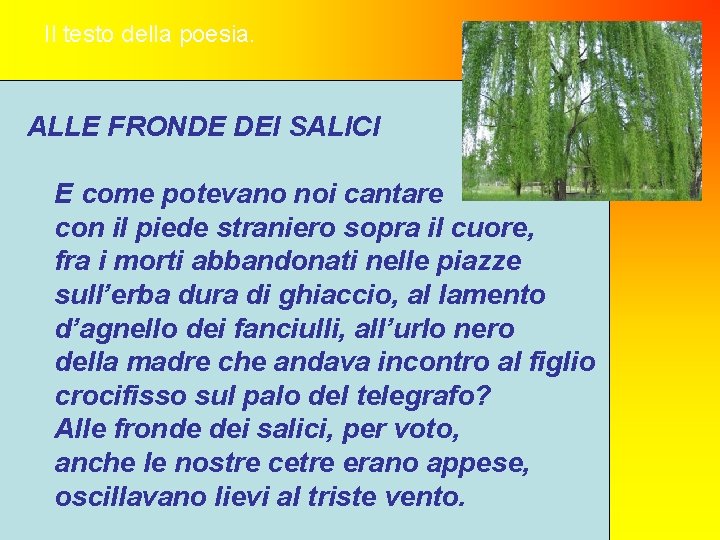 Il testo della poesia. ALLE FRONDE DEI SALICI E come potevano noi cantare con