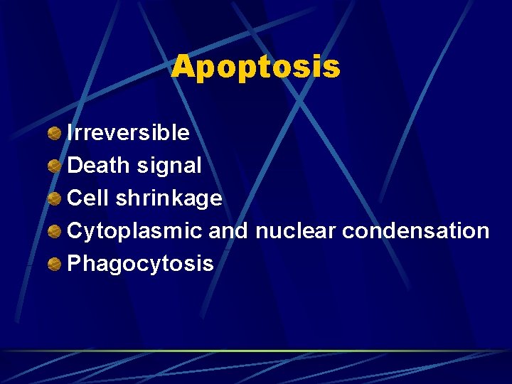 Apoptosis Irreversible Death signal Cell shrinkage Cytoplasmic and nuclear condensation Phagocytosis 