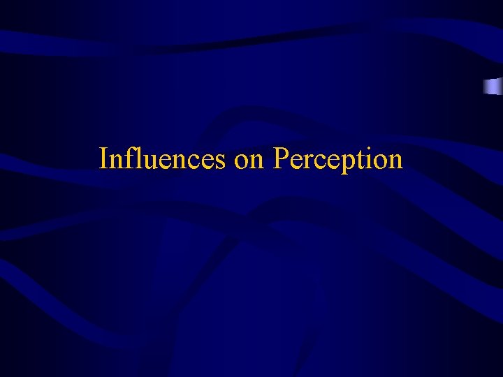 Influences on Perception 