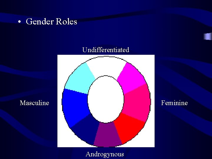  • Gender Roles Undifferentiated Masculine Feminine Androgynous 