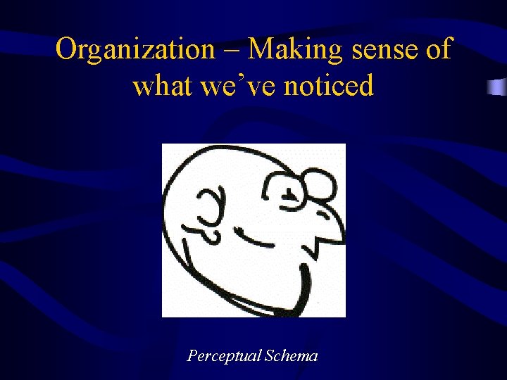 Organization – Making sense of what we’ve noticed Perceptual Schema 