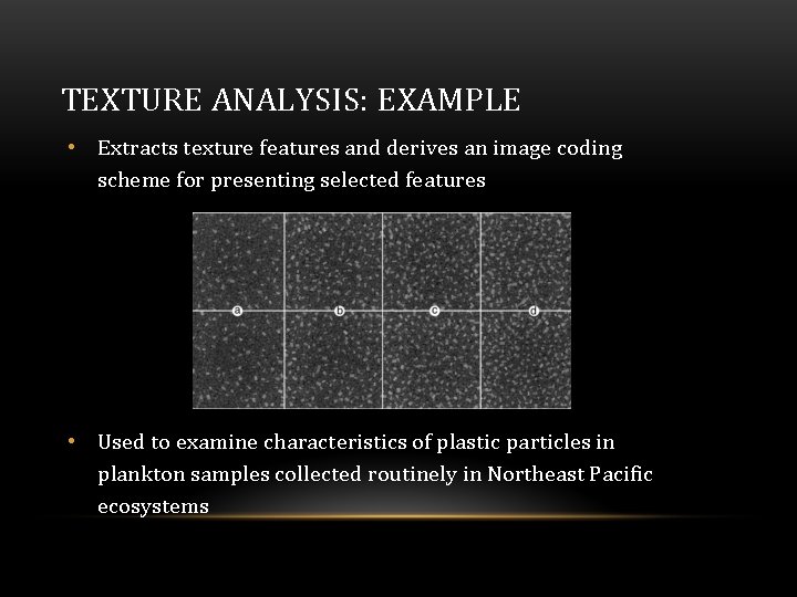 TEXTURE ANALYSIS: EXAMPLE • Extracts texture features and derives an image coding scheme for