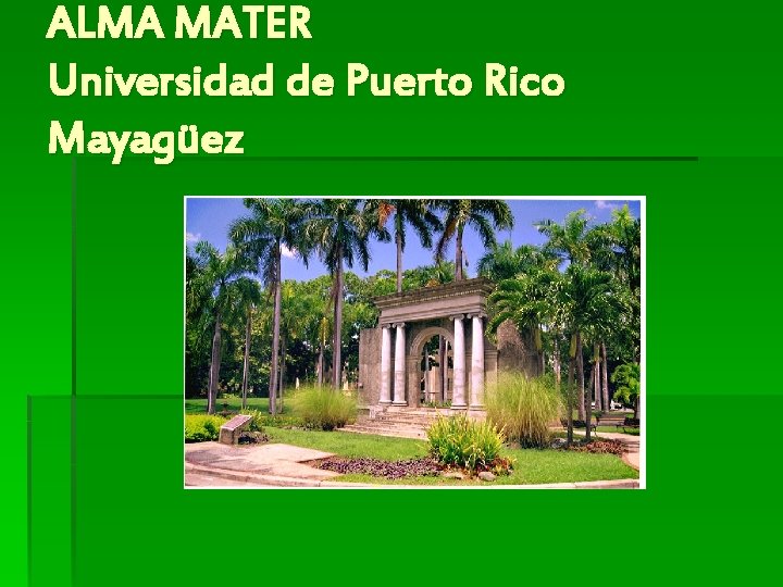 ALMA MATER Universidad de Puerto Rico Mayagüez 