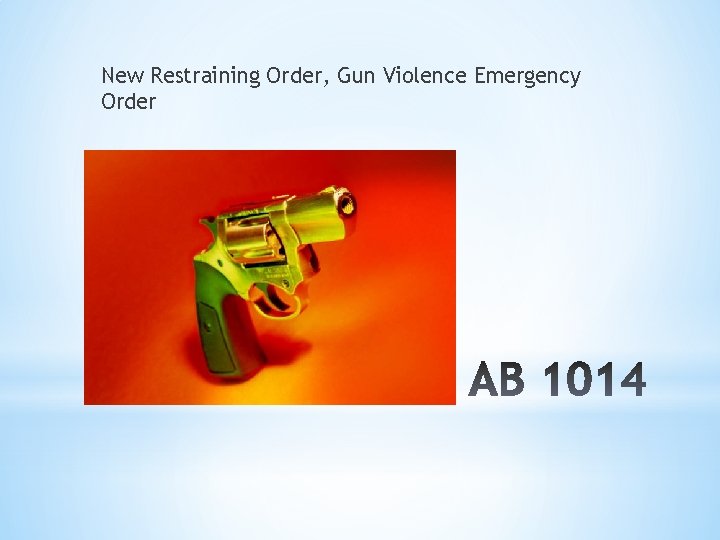New Restraining Order, Gun Violence Emergency Order 