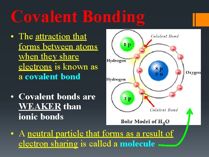 Covalent Bonding • The attraction that forms between atoms when they share electrons is