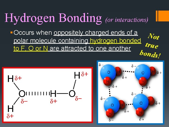 Hydrogen Bonding (or interactions) § Occurs when oppositely charged ends of a N ot