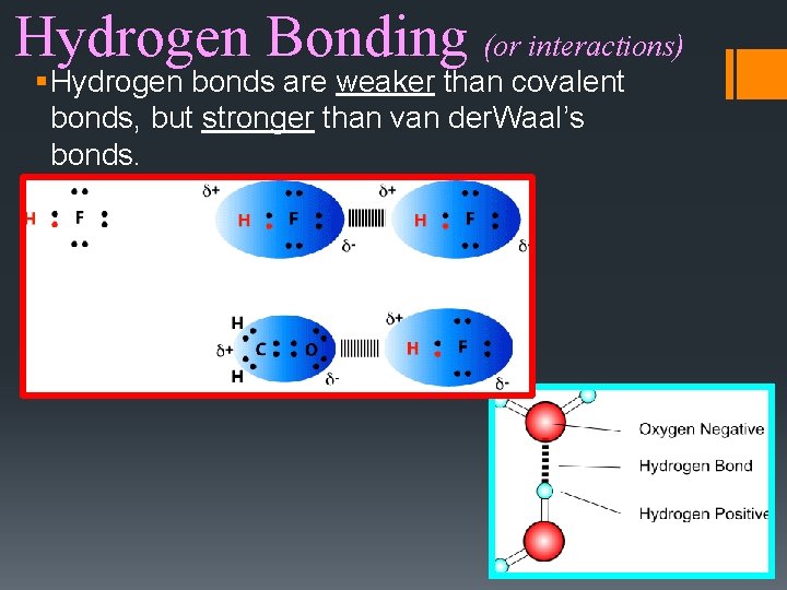 Hydrogen Bonding (or interactions) § Hydrogen bonds are weaker than covalent bonds, but stronger