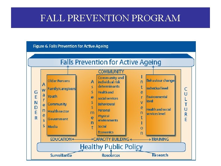 FALL PREVENTION PROGRAM 