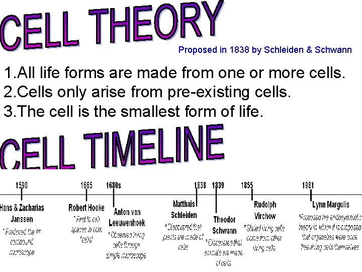 Proposed in 1838 by Schleiden & Schwann 1. All life forms are made from Proposed in 1838 by Schleiden & Schwann 1. All life forms are made from