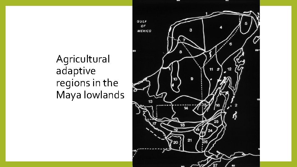 Agricultural adaptive regions in the Maya lowlands 