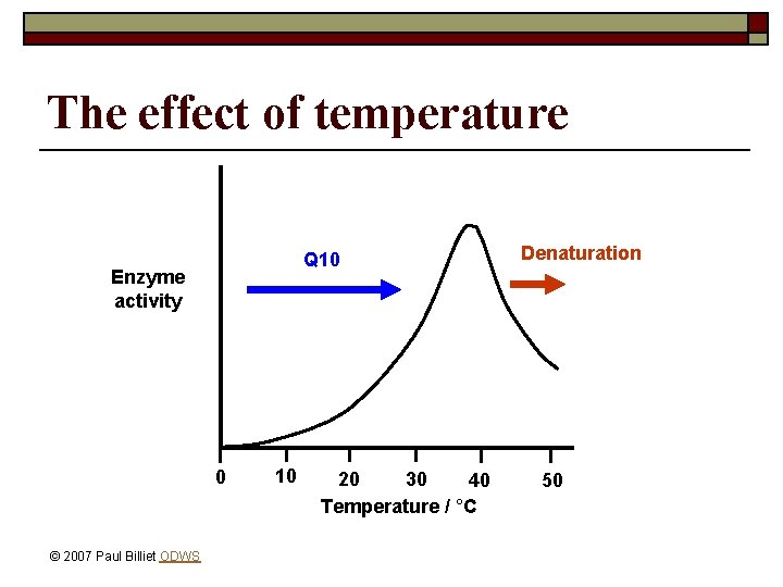 The effect of temperature Q 10 Enzyme activity 0 © 2007 Paul Billiet ODWS