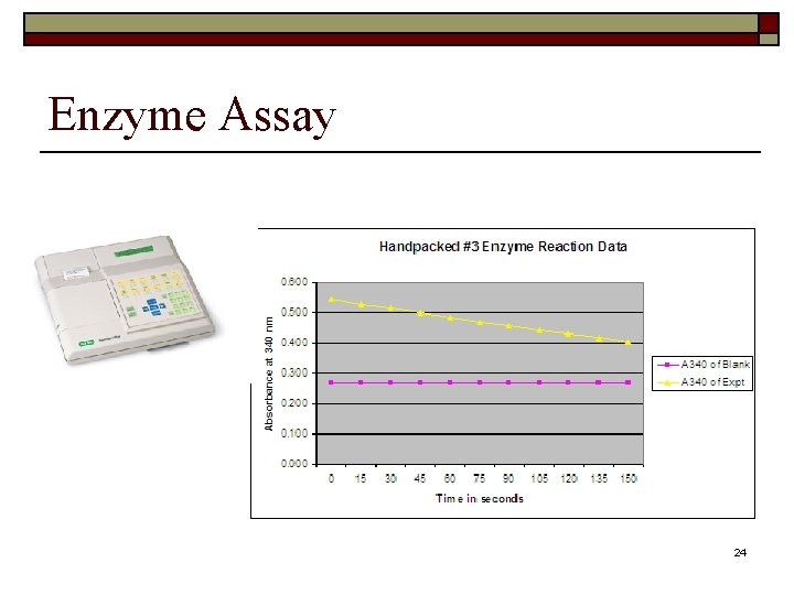 Enzyme Assay 24 