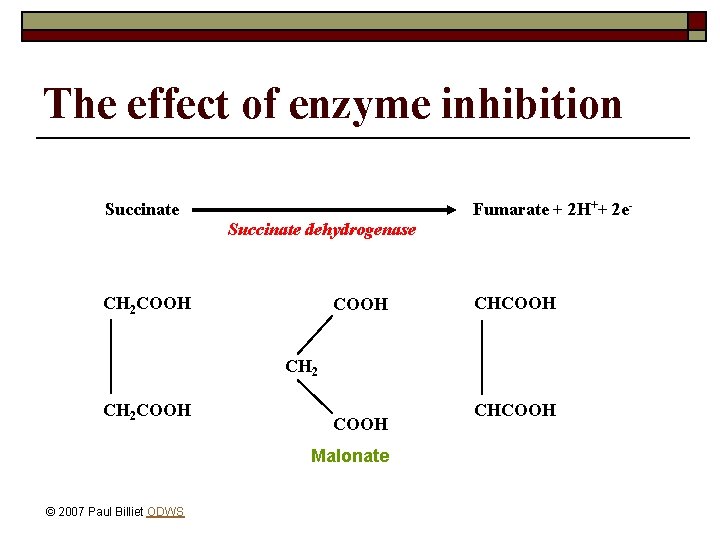 The effect of enzyme inhibition Fumarate + 2 H++ 2 e- Succinate dehydrogenase CH