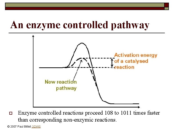 An enzyme controlled pathway o Enzyme controlled reactions proceed 108 to 1011 times faster