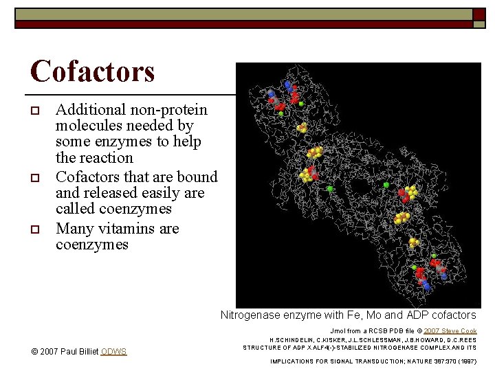 Cofactors o o o Additional non-protein molecules needed by some enzymes to help the